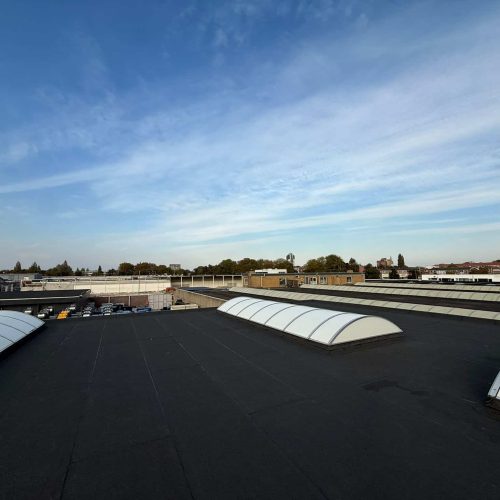Bright, well-maintained commercial roof with skylights and weatherproofing. Expert roof care and prevention in Holland.