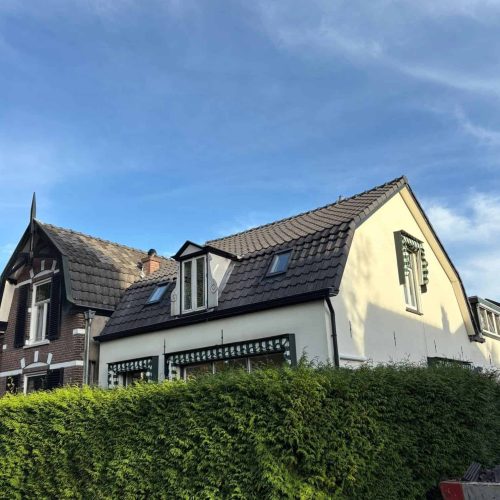 Comprehensive roof prevention solutions offered by Dak Preventie Holland.