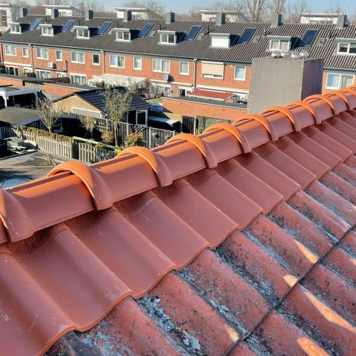 Dak Preventie Holland | www.dakpreventieholland.nl